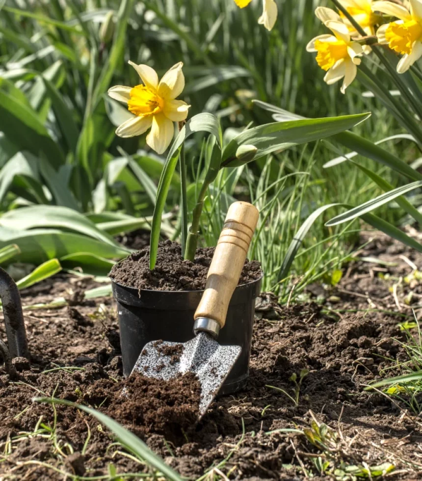 planting-flowers-garden-garden-tools-flowers